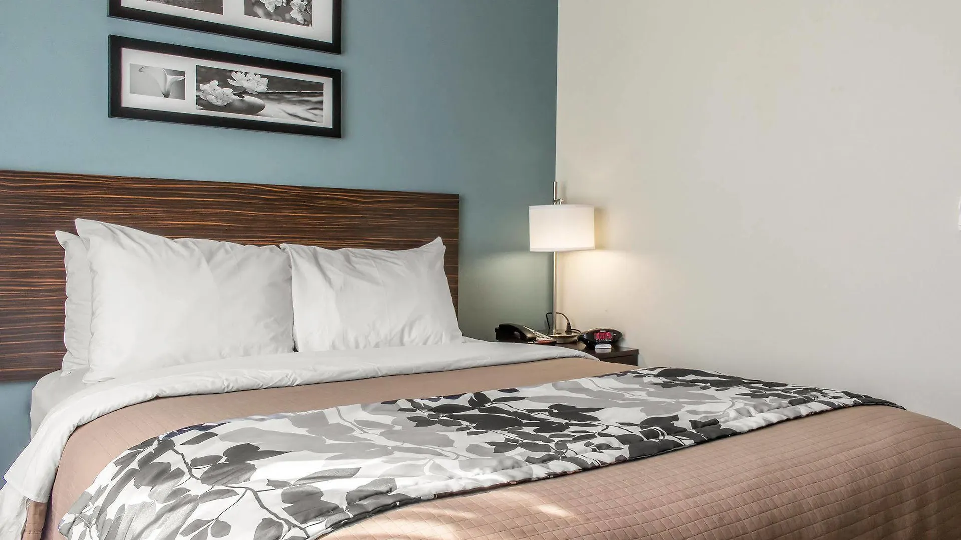 Sleep Inn Brooklyn Coney Island Nueva York Hotel