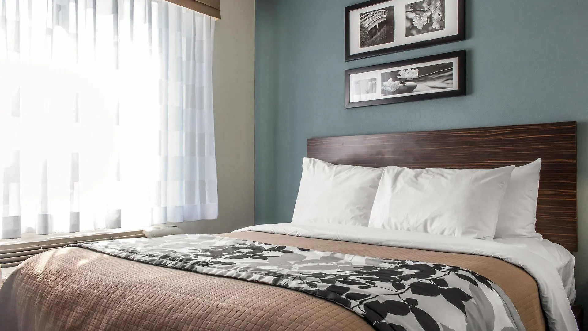 Hotel Sleep Inn Brooklyn Coney Island New York